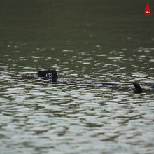 Charger l'image dans la galerie, Arkmodel 1/72 Dragon Shark I & II RC Attack Submarine Kit Static-Diving Hobby Grade